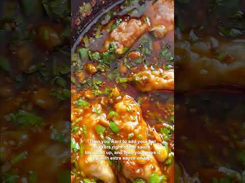 Potstickers in Red Curry Garlic Broth