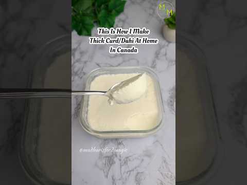 Thick Homemade Curd