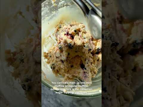 Blueberry Yogurt Coffee Cake Muffins